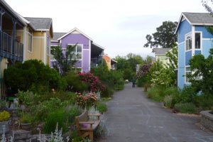 Coho Ecovillage path