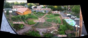 front yard circular and rain gardens
