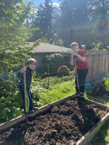 Boys gardening, ages 7 and 11