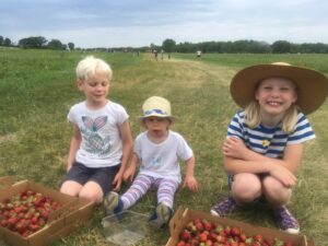 Day trip to nearby farm to pick strawberries